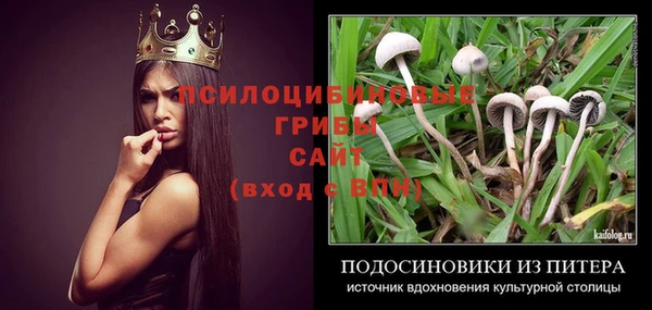 ECSTASY Беломорск