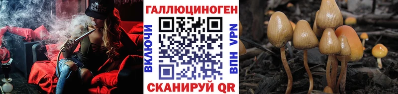 Галлюциногенные грибы Psilocybe  кракен вход  Ялуторовск 